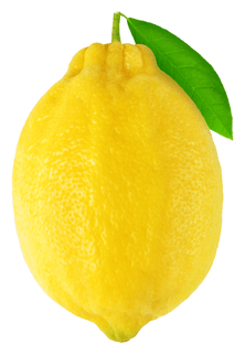 lemon mint Lemon